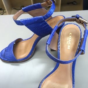 Gorgeous snake skin sandals